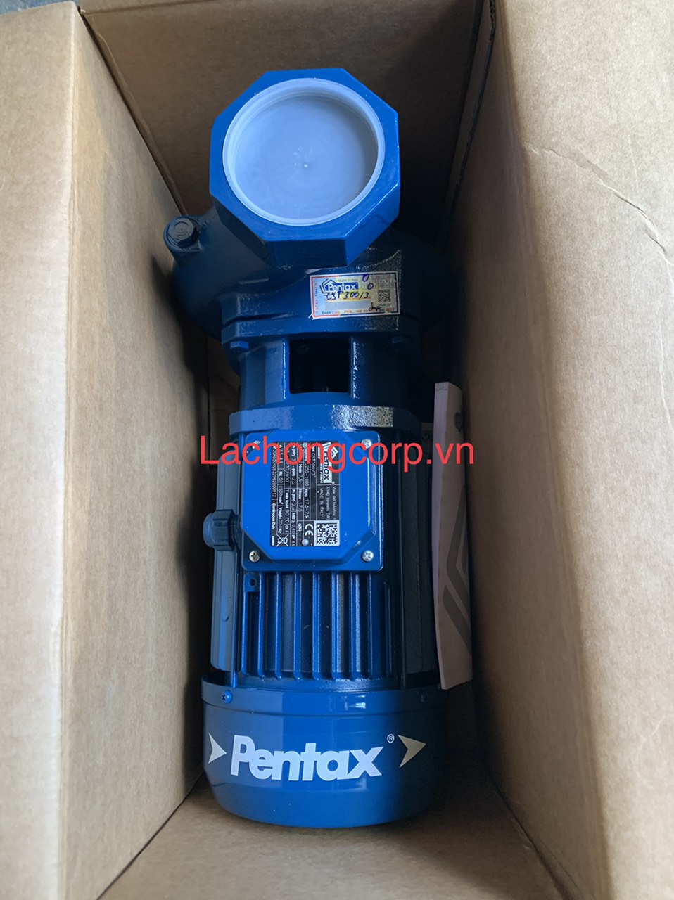 Máy bơm nước lưu lượng Pentax CS/CST - bơm lưu lượng Pentax CST 300/3
