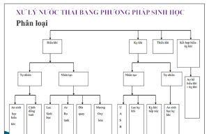 xu-ly-nuoc-thai-bang-phuong-phap-sinh-hoc