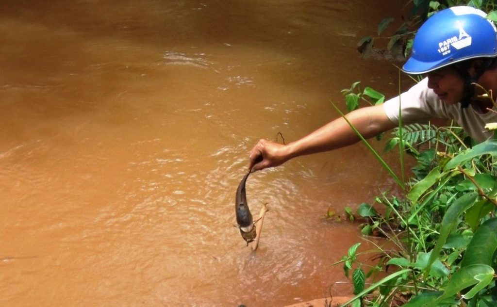 Công ty Cổ phần máy và thiết bị Lạc Hồng