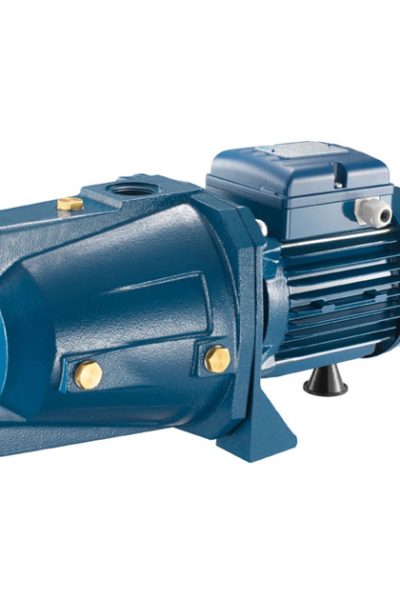 Máy bơm nước Pentax CAM 75N/60 0.8HP (0.59kW)