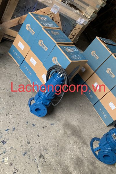 Máy bơm chìm Pentax DMT210