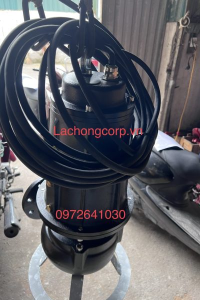 Alternative view of Máy bơm chìm Pentax DMT1000