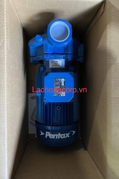 Bơm lưu lượng Pentax