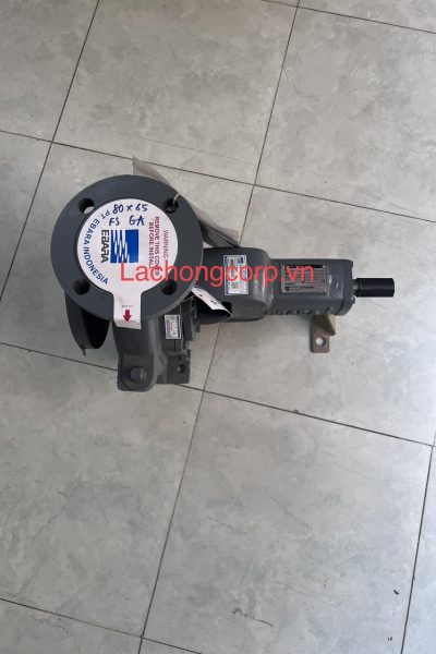 Đầu bơm trục rời Ebara 80X65 FSGA