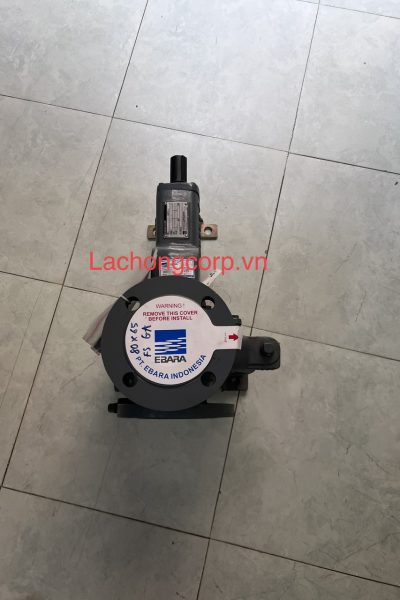Alternative view of Đầu bơm trục rời Ebara 80X65 FSGA