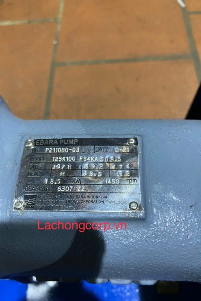 Đầu bơm trục rời Ebara