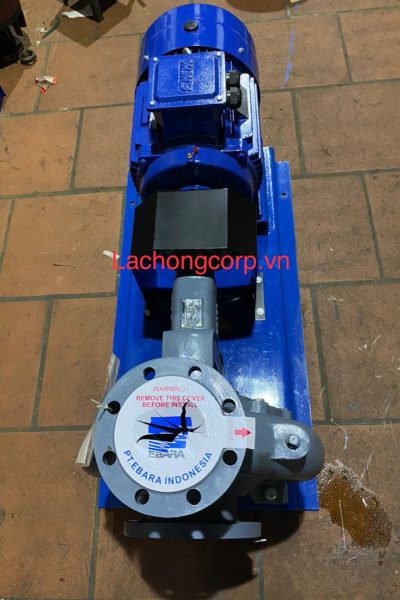 Máy bơm trục rời Ebara