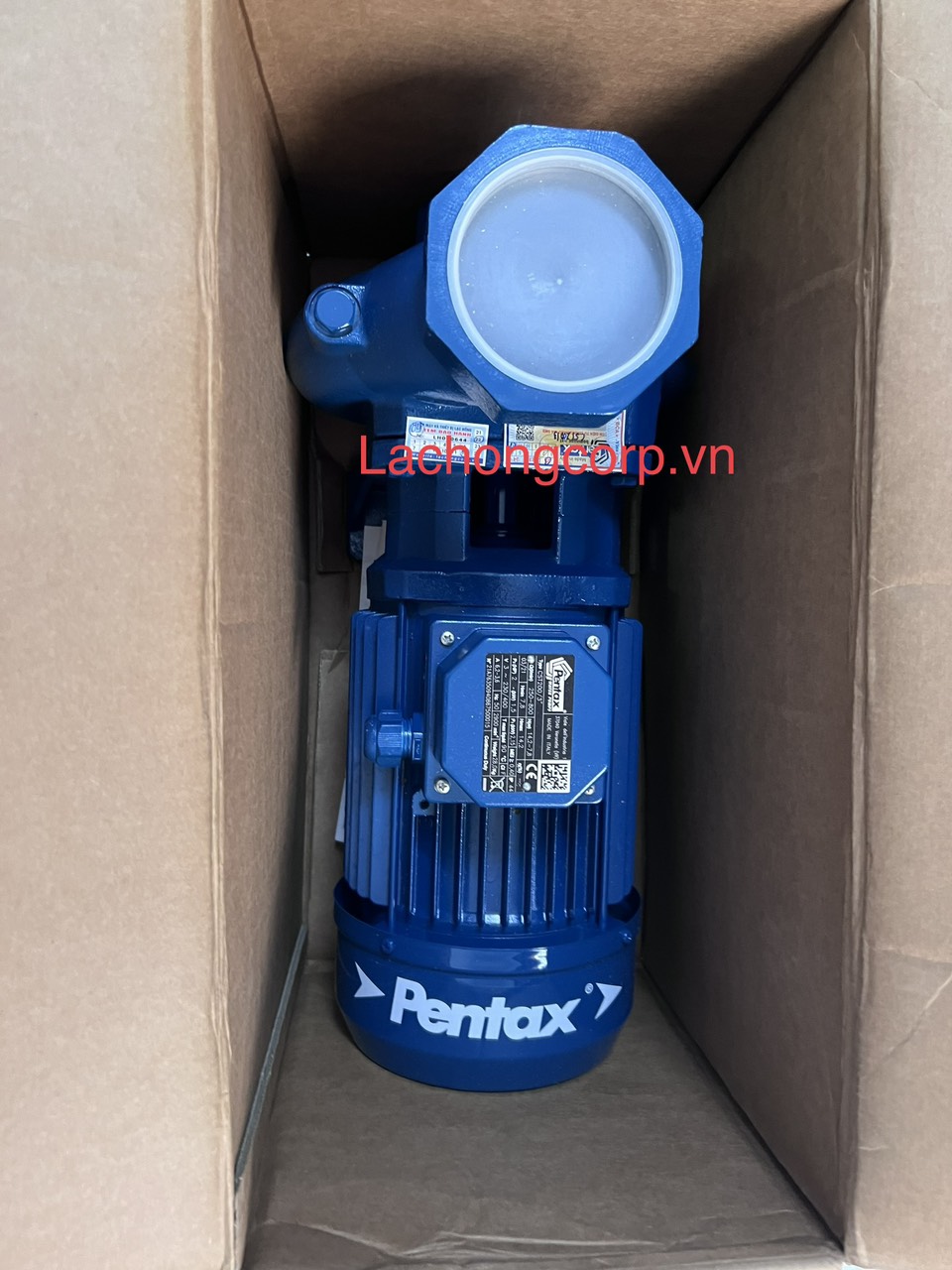 Bán máy bơm nước lưu lượng Pentax CS series