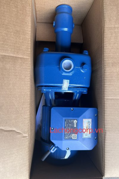 Alternative view of Máy bơm nước Pentax CAB 300/00 3HP (2.2kW)