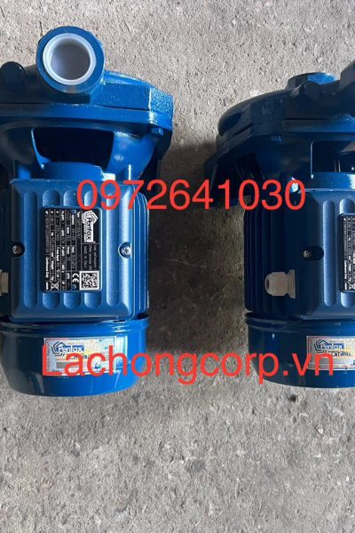 Alternative view of Máy bơm nước dân dụng Pentax CMT100/61 1HP (0.74kW)