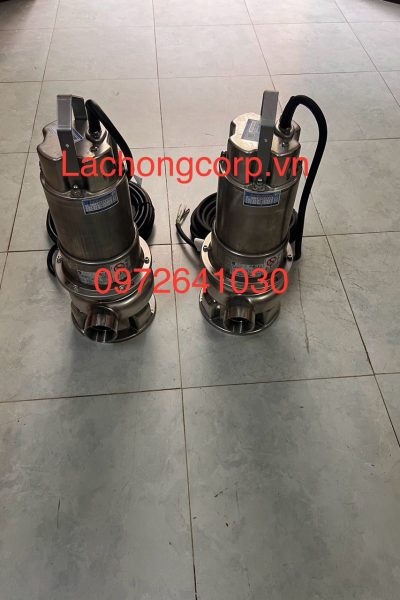 Alternative view of Máy bơm nước thải Ebara DW VOX 200 2HP