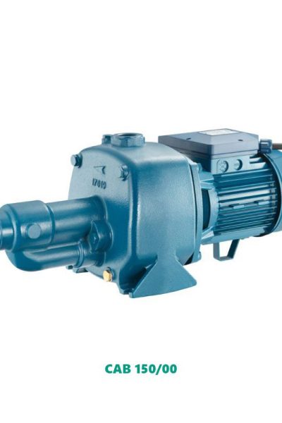Máy bơm nước Pentax CAB 150/00 2HP (1.5kW)