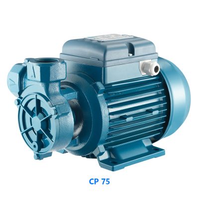 Máy bơm Pentax CP 75 công suất 1HP (0.75kW)