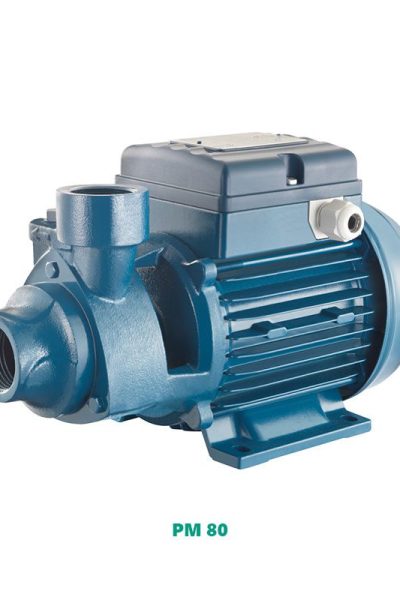Máy bơm Pentax PM 80 công suất 1HP (0.74kW)